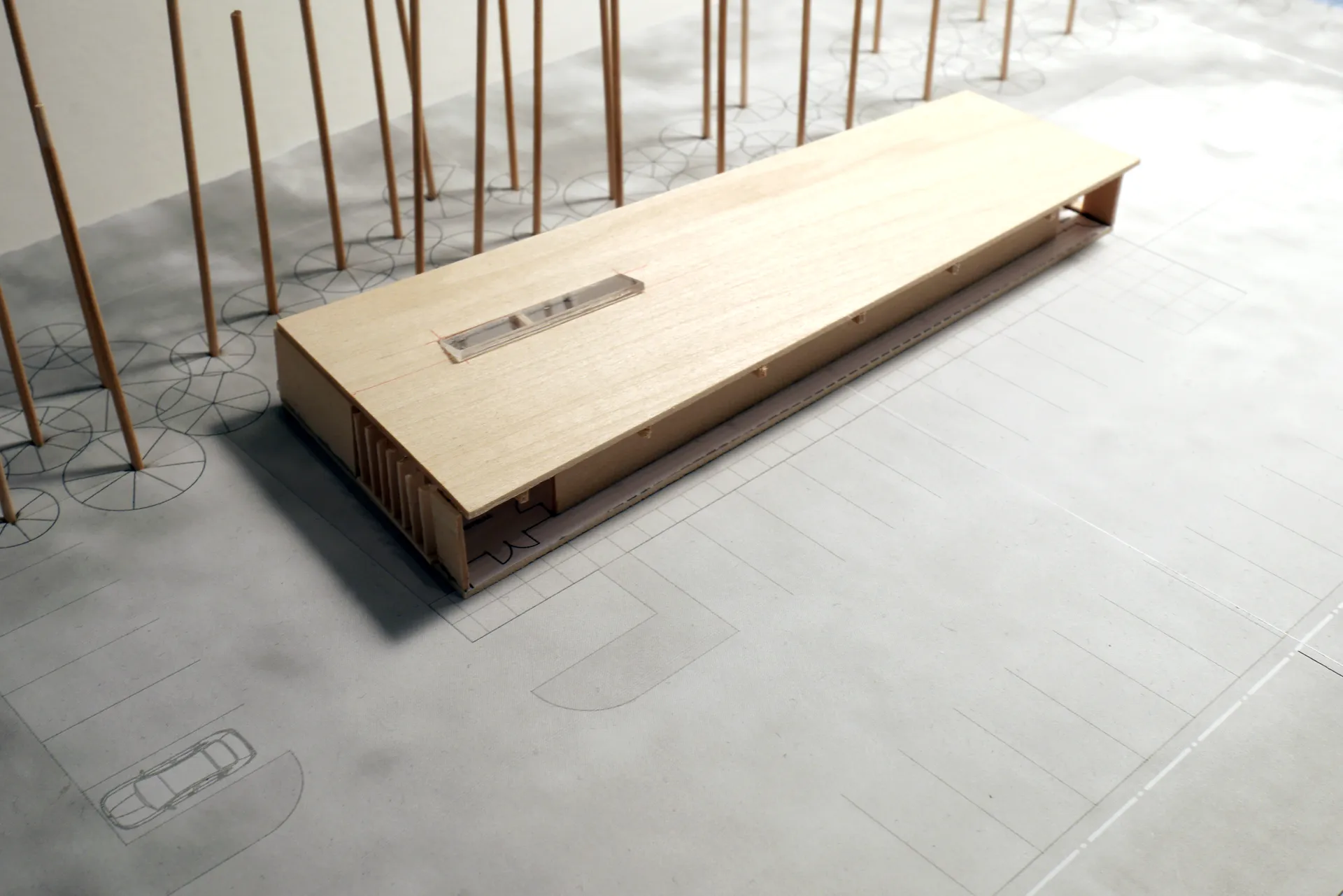 Study model