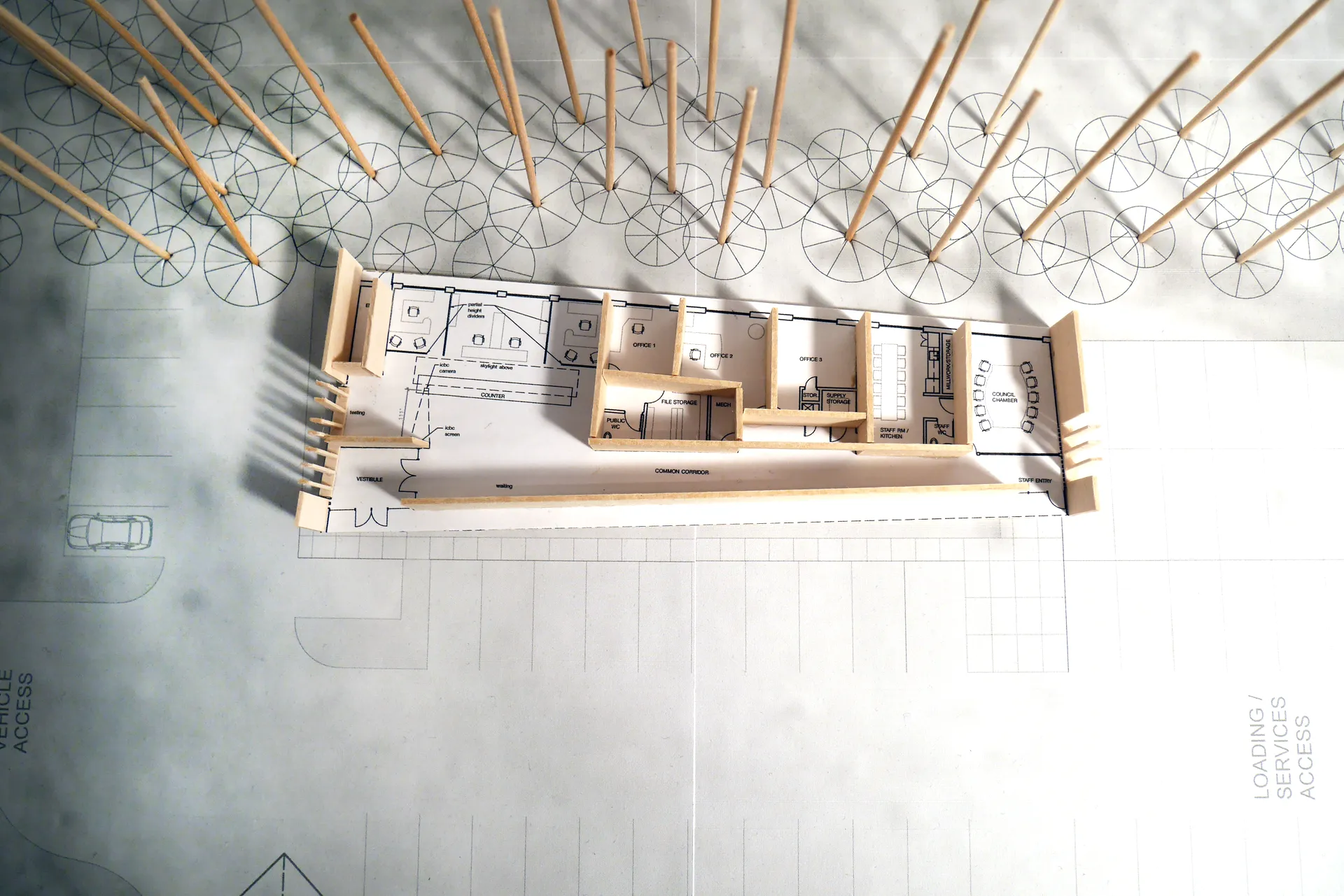 Study model plan view
